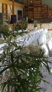 Mariage de Camille et Rachid - Domaine de Michelet