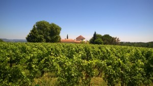 Mariage de Camille et Rachid - Domaine de Michelet